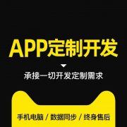 程序员承接网站建设·低价网站建设、制作、维护