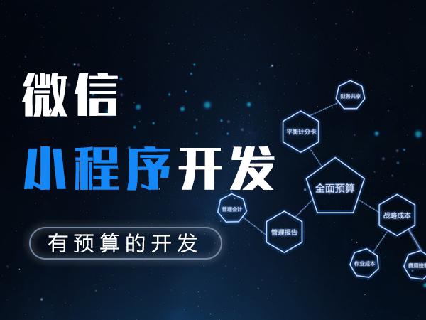 个人接网站制作、软件定制、app开发小程序制作